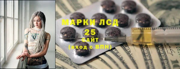 шишки Михайловск
